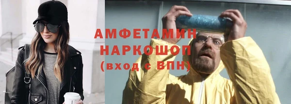 шишки Кадников