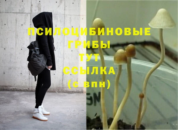 гидропоника Тихвин